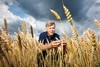 Lantmannen Wheat FArmer