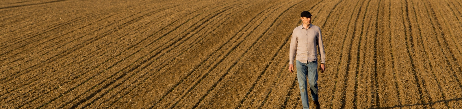 Un agriculteur marche dans un champ