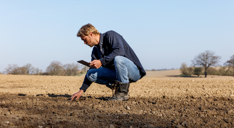 Un agriculteur touche le sol