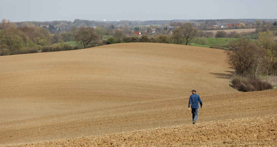 Un agriculteur marche dans son champ