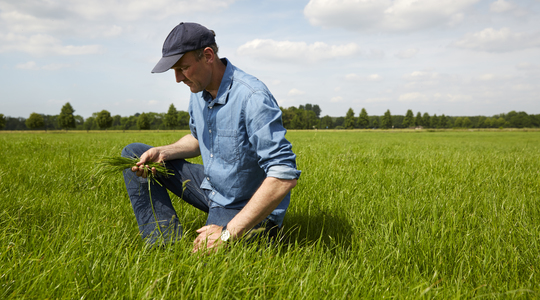 Make your grassland fertiliser work harder