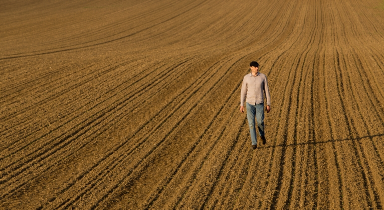 Un agriculteur marche dans un champ