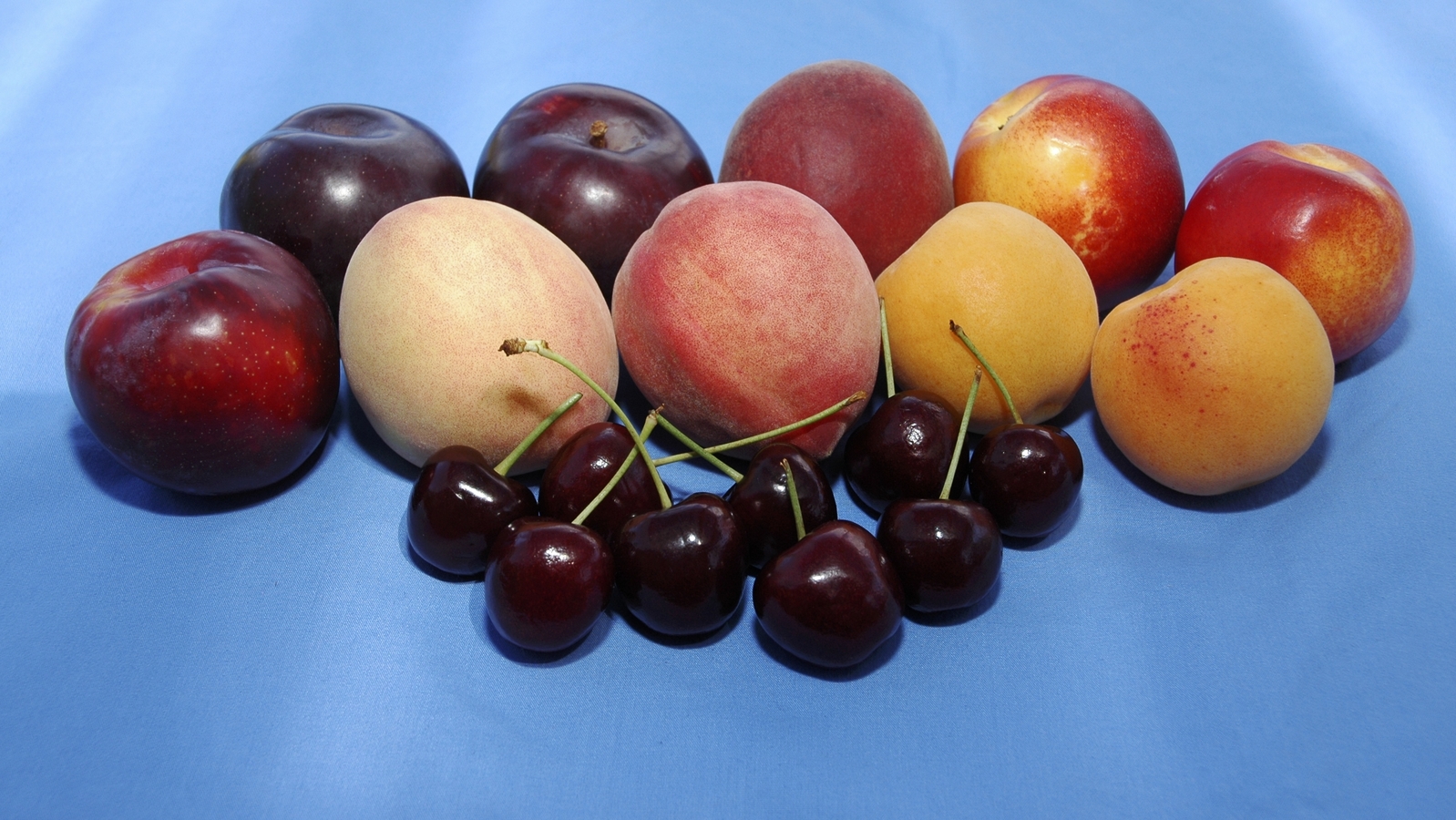fruits à noyau