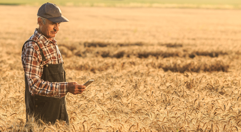Un agriculteur utilise l'application Yara CheckIT sur son smartphone