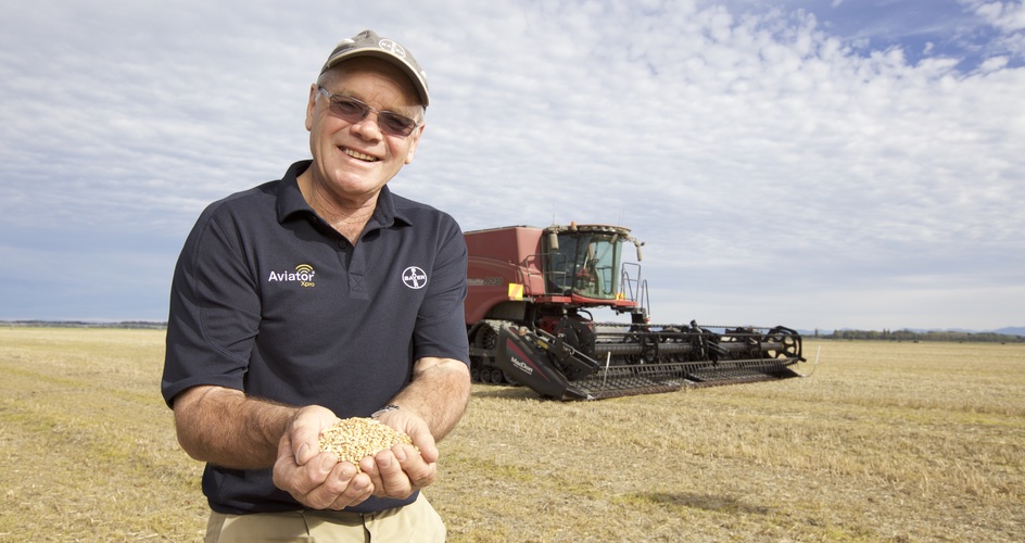 Světový rekord ve výnosu pšenice pokořen!