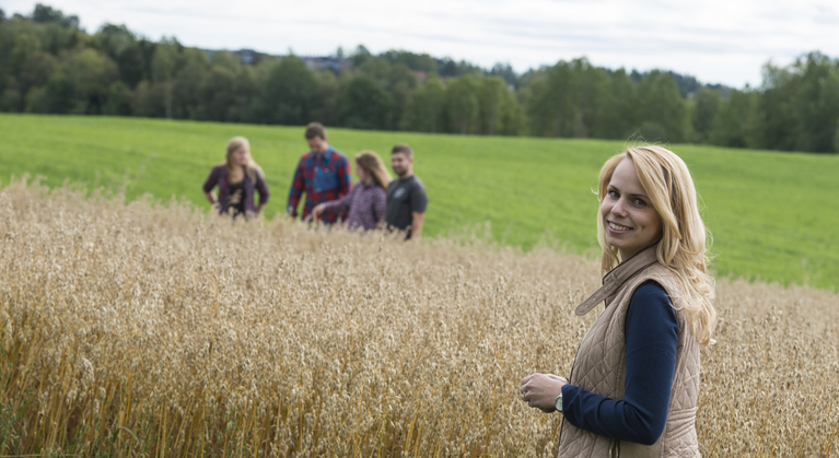 Tiltak for å forbedre avlingsutviklingen i norsk kornproduksjon