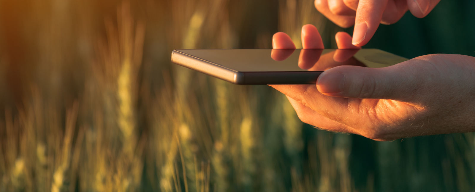 Farmer checking digital farming terms on smartphone