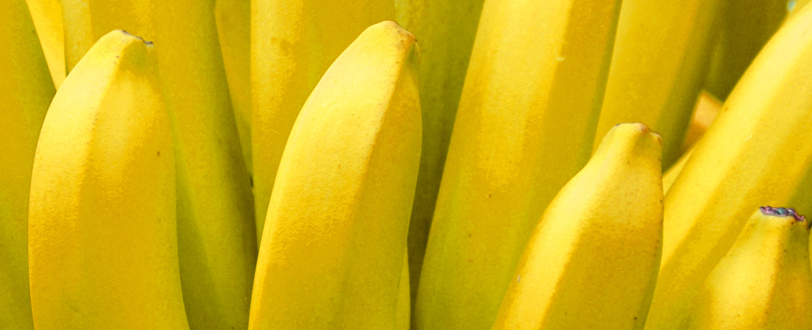 YaraVita Banano EC