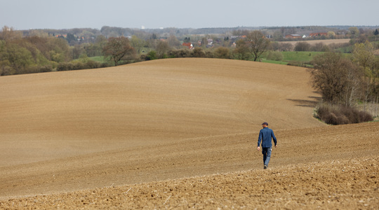 Un agriculteur marche dans son champ