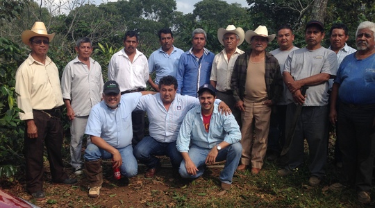 Mexican coffee farmers