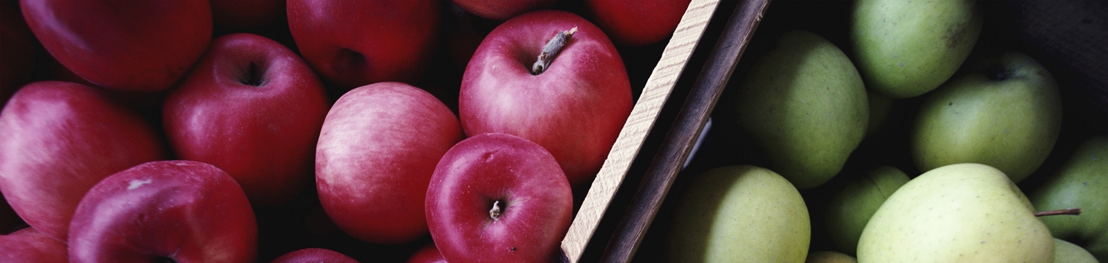 Apple and pear nutritional summary