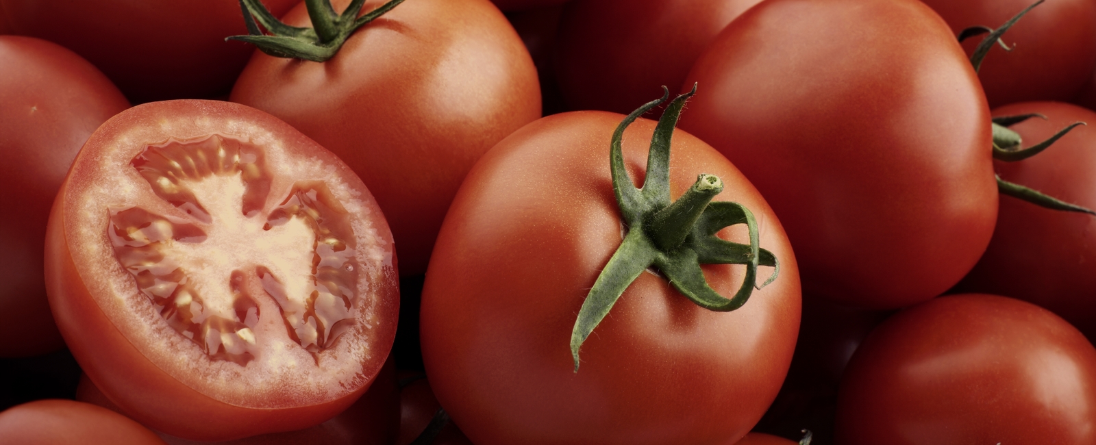 Tomato fertigation and crop nutrition
