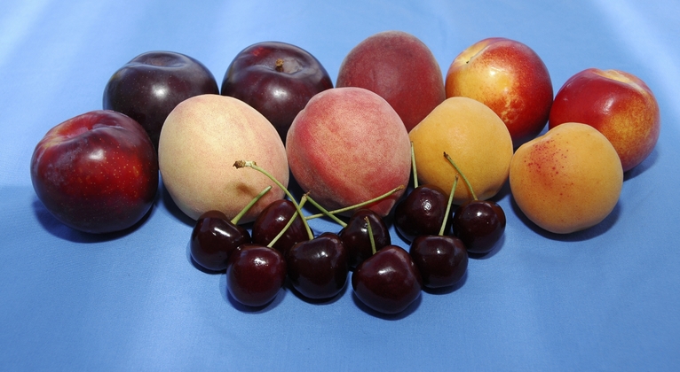 fruits à noyau