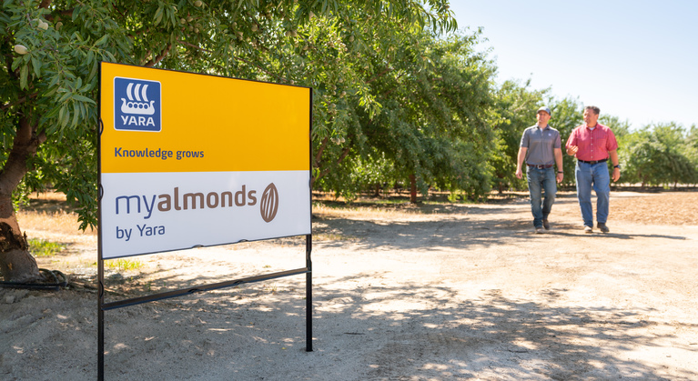 Almond Growth Requirements