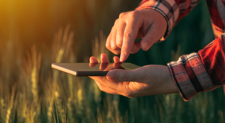 Farmer checking digital farming terms on smartphone