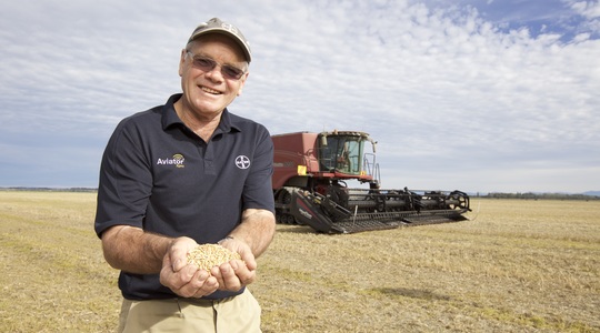 Světový rekord ve výnosu pšenice pokořen!