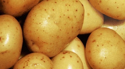 pommes de terre compress