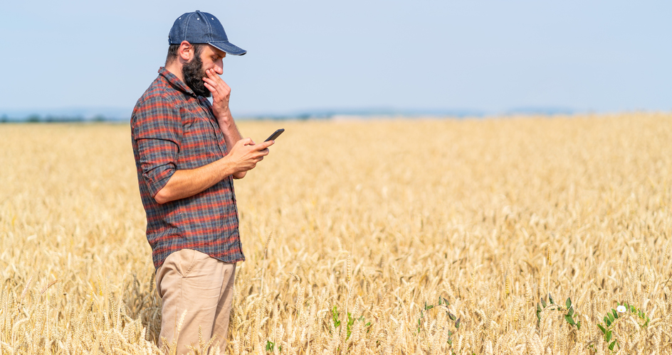 Farmer in a crop field on his mobile phone 