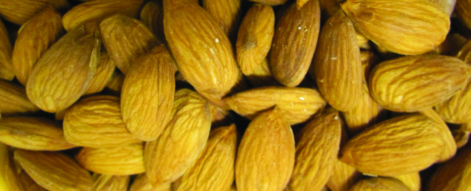 Almond Nutritional Summary
