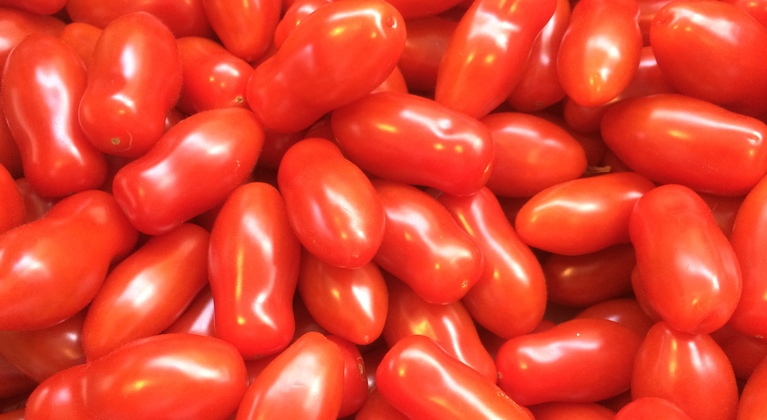 Función del hierro en la producción de tomate 